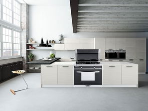 集成灶大品牌有哪些 今天帮大家整理一份