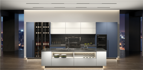 做时代的先行者,森歌不锈钢整体橱柜获16项专利,蓄力橱电一体化!